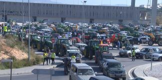 Manifestación de los agricultores en Lucena./Foto: AF capital asaja paro asaja