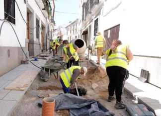 Pozoblanco paraliza las obras del Profea durante el periodo de recogida de la aceituna./Foto: Ayuntamiento de Pozoblanco