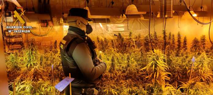 La Guardia Civil desmantela en la Sierra de Córdoba una plantación de marihuana tipo 'indoor' de alto rendimiento.
