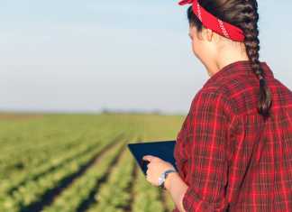 La Junta avanza en la transformación digital del sector agrícola./Foto: Junta de Andalucía agricola